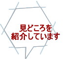 増毛町内の見どころを紹介しています