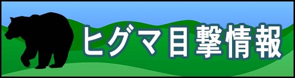 ヒグマ目撃情報