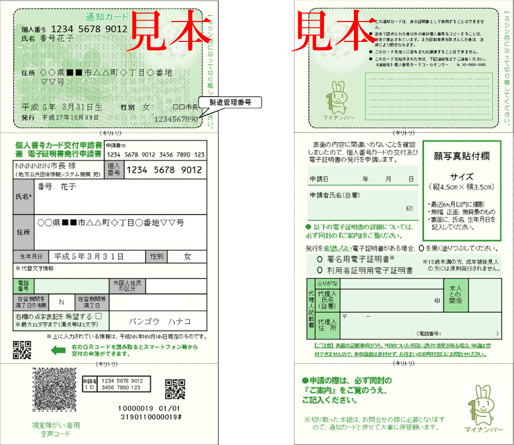 マイナンバー通知カードの見本