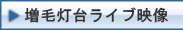 ѓ䃉CufiGCۈj